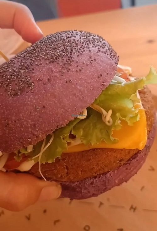  at Flower Burger in Bari