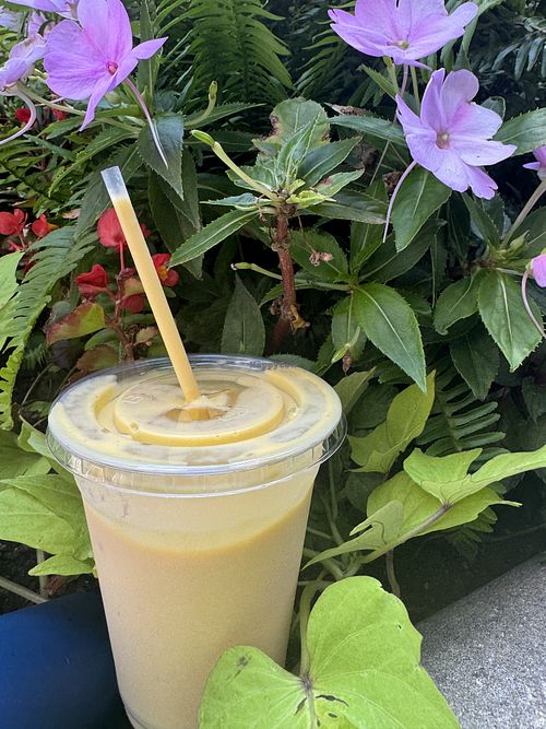   at Art of Dosa in Chicago