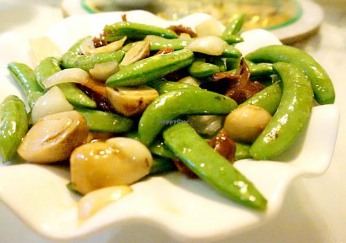 13 at Cute Fei in Kowloon