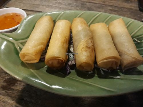 Veggie spring rolls at Hug in Chiang Mai