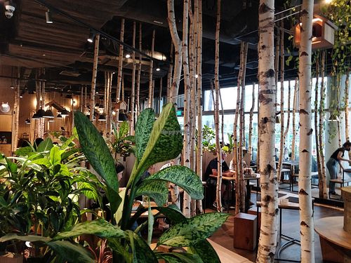 Restaurant interior at Hans im Glück - Vivocity  in Central Singapore