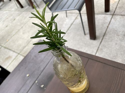 table at Sattgrün Kolumba Viertel - Mitte in Cologne
