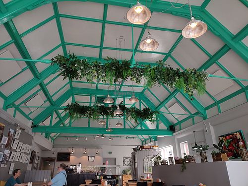 Ceiling at The GreenHouse Cafe in Shrewsbury
