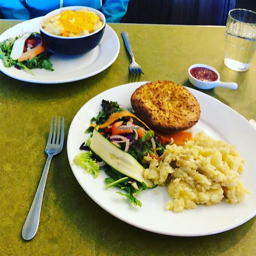 Vegan Shepherds pie and Mexican pie with salads at Embassy Vegetarian Cafe in Katoomba
