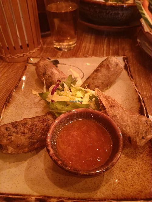 Fried spring rolls at Quan Xanh in Leipzig