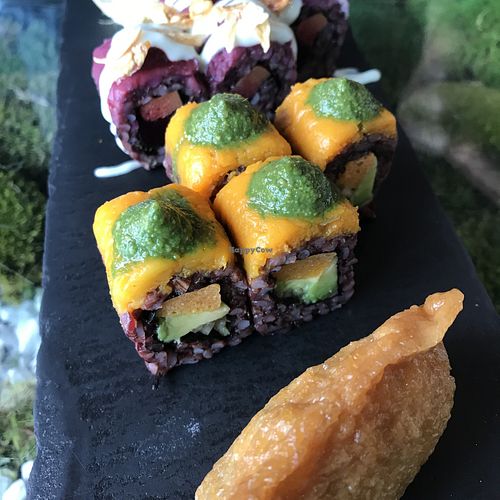 Golden Koi  at Secret Garden in Berlin