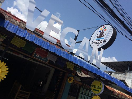 Outside at Vegan Phangan in Koh Phangan