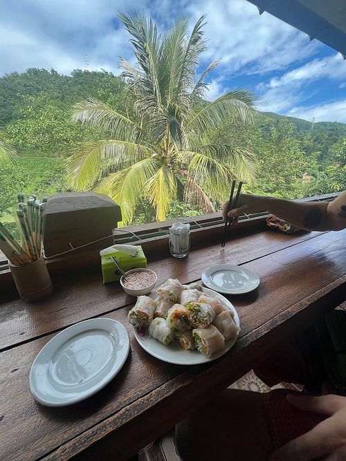 Fresh spring rolls at Sabaïdee in Phonsaly