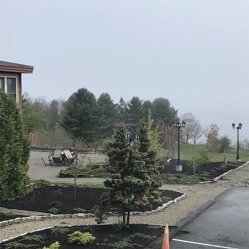 Pretty outdoor area to enjoy  at Seng Thai in Belfast