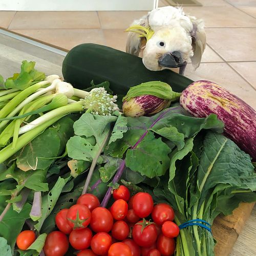  at Dr Helen's Dental and Implant Studio in Prahran East