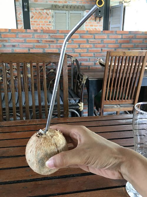 The owner also kindly offered me a mini coconut from her trees.  at Bar Ang in Battambang