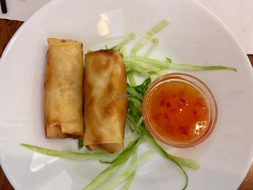 Vegetarian Spring Rolls at Ravioli Wang - Porta Camollia in Siena