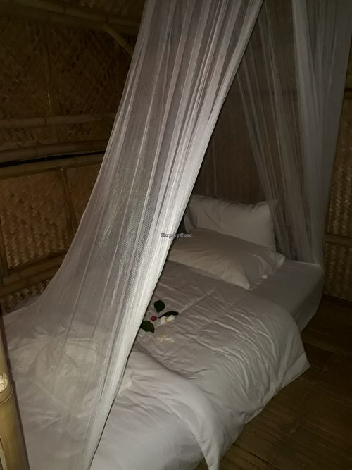 Bedding inside hut at Vegan Town in Lampang