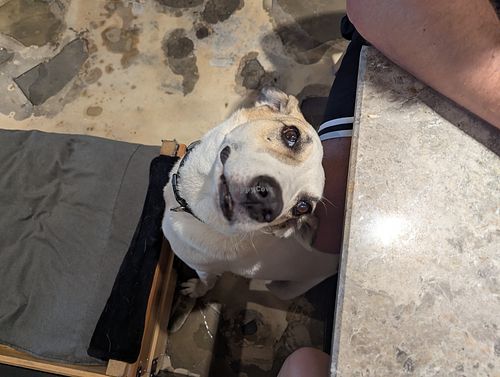  at The Hand Coffee in Kusadasi