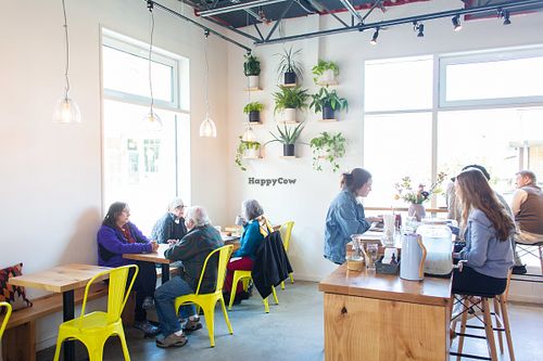 Plant Wall at Juel Modern Apothecary in White River Junction