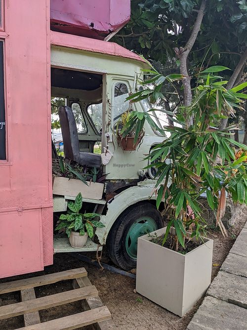 It has its own ecosystem at Cruising Smoothly in Weligama