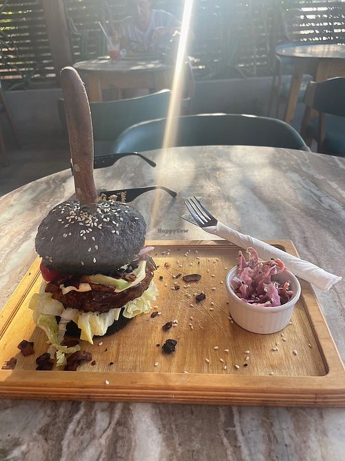  at The Vegan Lab in Dahab