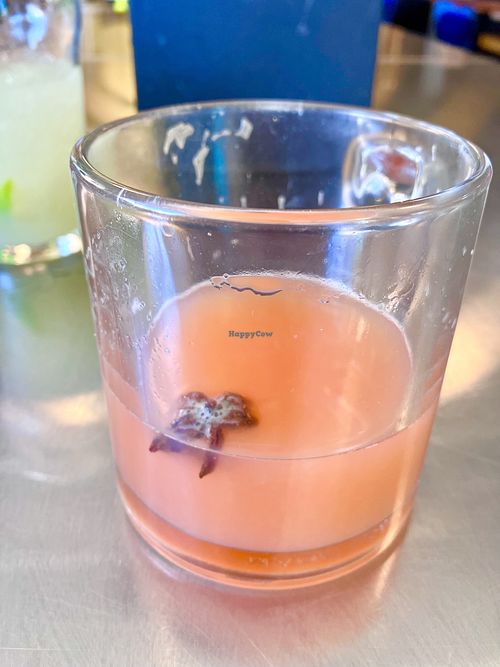   at Rachel's Ginger Beer in Seattle