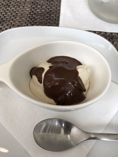 Cashew cream and avocado chocolate dessert! AMAZING! at The Creek Cafe in Dallas