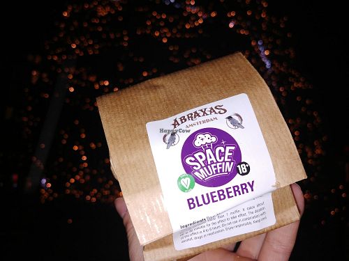 Vegan space muffin at Abraxas in Amsterdam