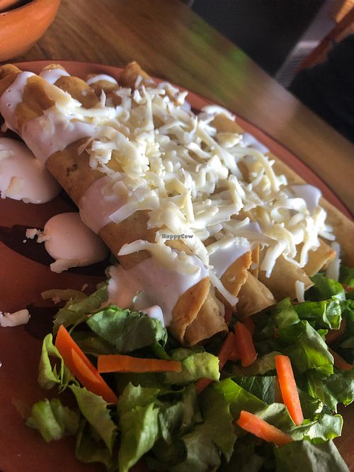 Flautas de requesón  at Danza de Fogones  in Guadalupe
