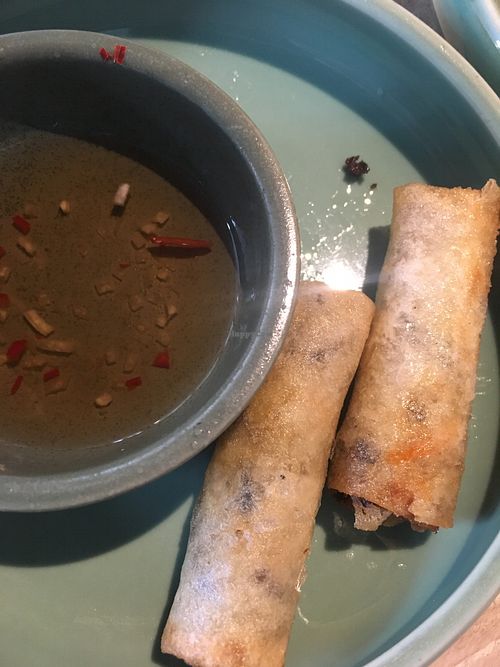 Spring rolls  at Sadhu in Hanoi