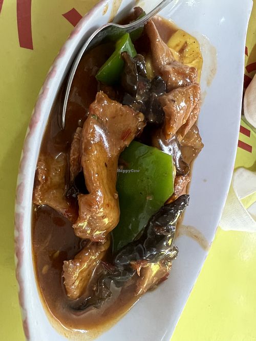 Hot and spicy sliced chicken $12- quite disappointing   at Lin Lin Vegetarian Delight 霖霖素食 in East Singapore