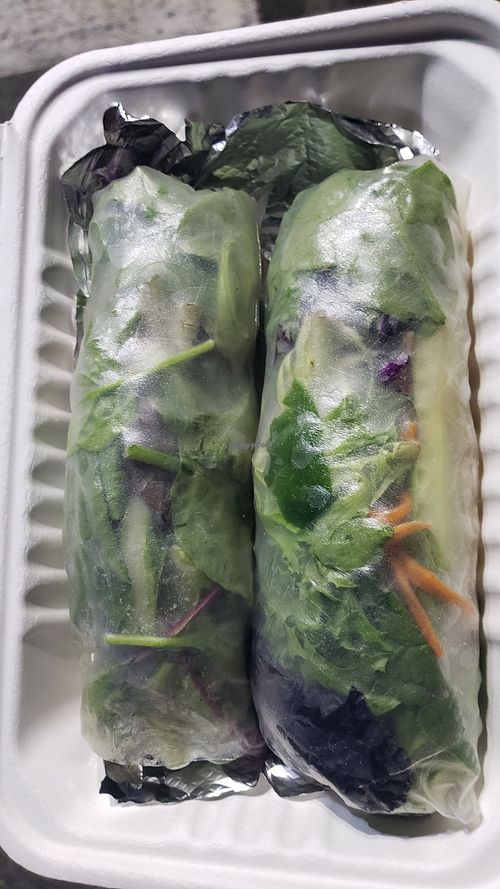 Togo fresh spring rolls at Thai Vegan III in Pacific Palisades