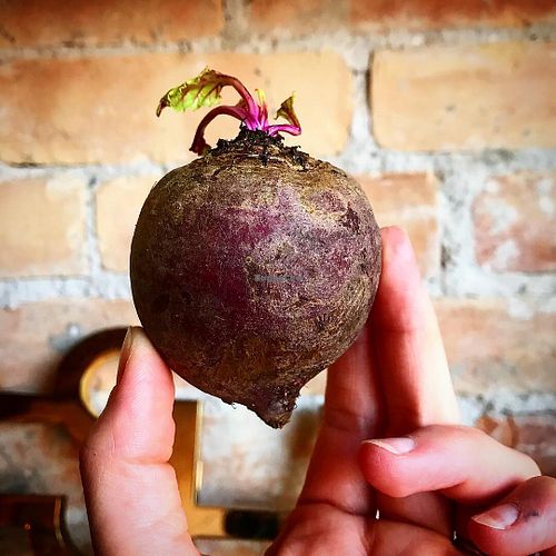 Beet top at Beet Top in Lacombe