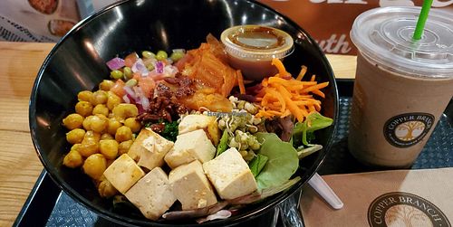 Asian fusion with tofu at Copper Branch in Fort Lauderdale