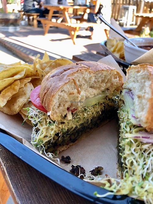 lentil burger  at Active Culture in Bend