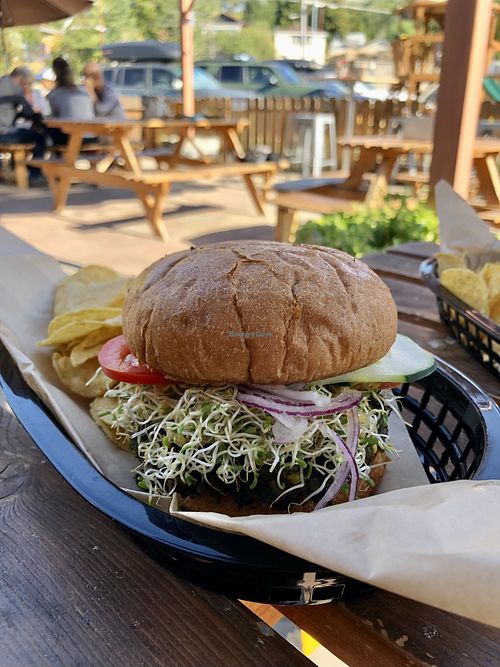 Lentil Burger  at Active Culture in Bend