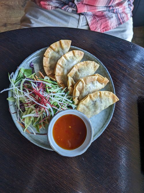 No. 16 fried dumplings at Chay Vegan in Helsingborg