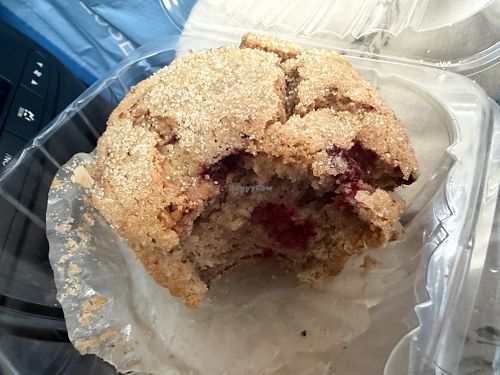Vegan raspberry muffin. 5/5 ⭐️s  at Hidden Julles Cafe in Gainesville
