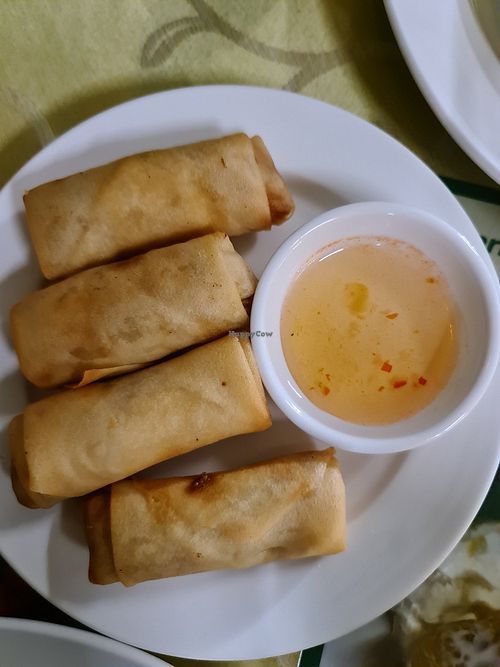 Spring rolls at Nakontong Thai in Thames