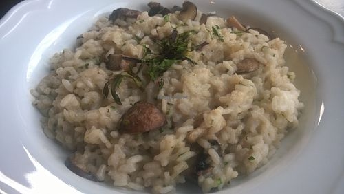 Mushroom and truffle risotto at The Criterion in South Shields