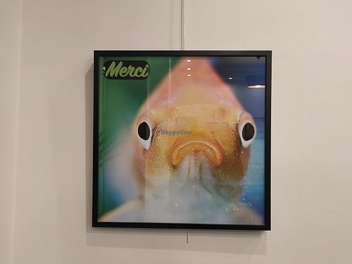 Inside at Happiz - Monge in Paris