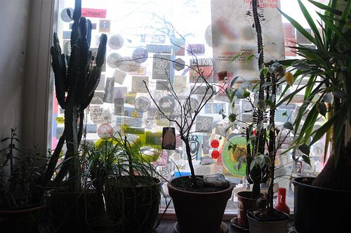 inside yoyo, the window at Yoyo Foodworld in Berlin