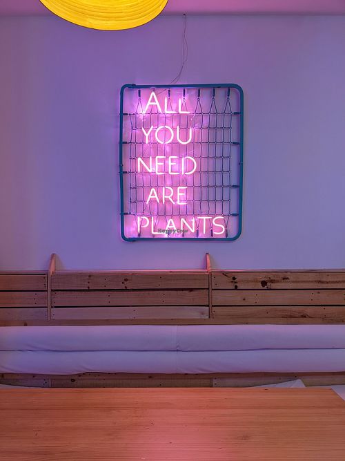  at The Began in Valencia