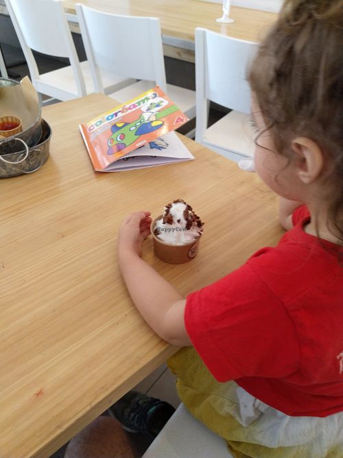 Gelat at The Began in Valencia