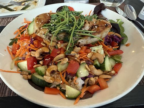 Buddha Belly Salad added meati chicken   at Seedz Cafe in Steamboat Springs