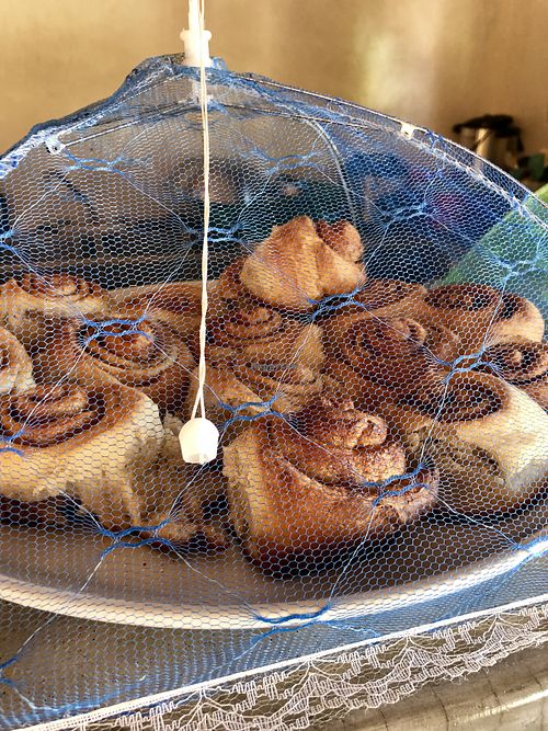 Chai cinnamon rolls at La Jardinera in Todos Santos