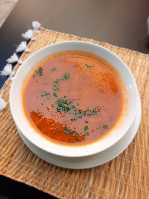 Harira soup reminded me of Indian sambhar, but this wasn't as tasty. at Veggie Pause  in Fes