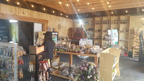 Imside at Roots in Tijuana