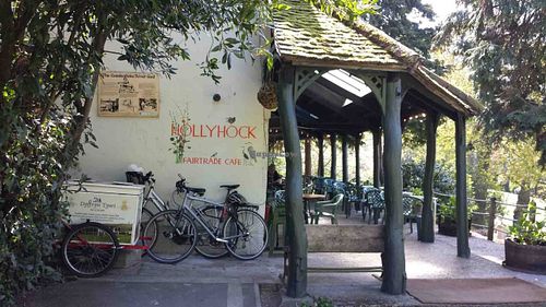 Hollyhock Cafe at Hollyhock Cafe in Richmond Upon Thames