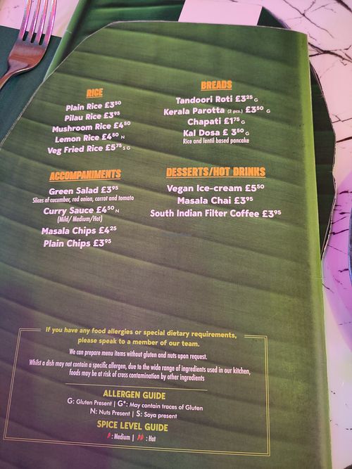 Vegan Menu Feb 2025 at Chennai Express in Basingstoke