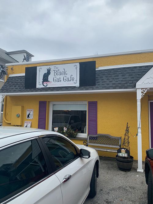 storefront at The Black Cat Cafe in Devon