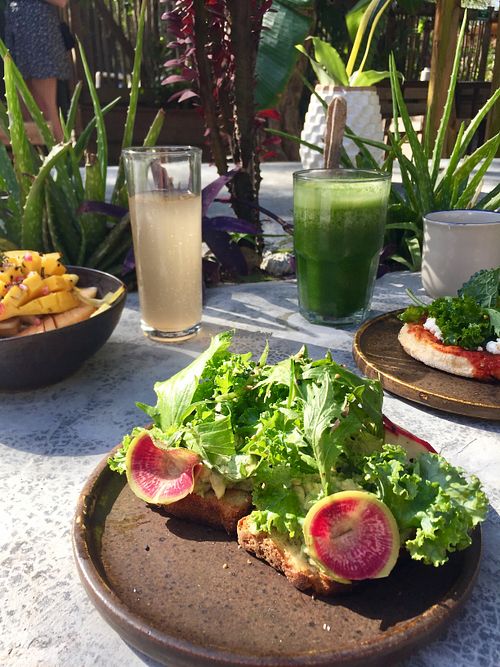 Avocado brioche toast! So good! at Trópica Cafe in Tulum