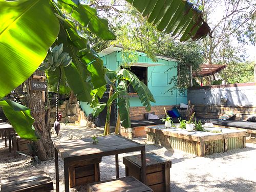 Lush little garden setting at Trópica Cafe in Tulum