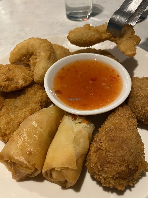 Appetizer sampler  at Zen Garden in Great Neck